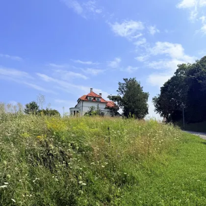 Baugrundstück in idyllischer Lage in Wiesen - Bild 3