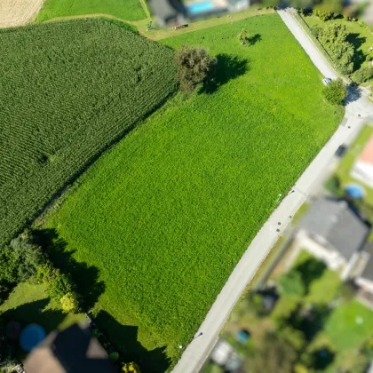 Baurechtsgrundstück in Top Aussichtslage mit Projektentwurf für Bauträger! - Bild 3