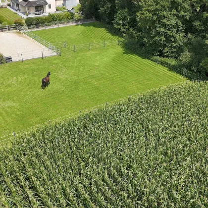 Ein Landsitz mit Haltung. Für Menschen, die Pferde nicht besitzen – sondern verstehen. - Bild 3