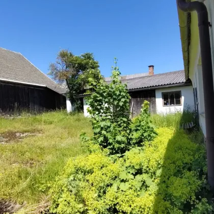 Großzügiges Landhaus im schönen Waldviertel mit Wiesen und Acker gleich angrenzend - Bild 2