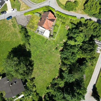 Traumhaftes Grundstück in Dornbirn: 2.786 m² mit atemberaubendem Panoramablick - Bild 3