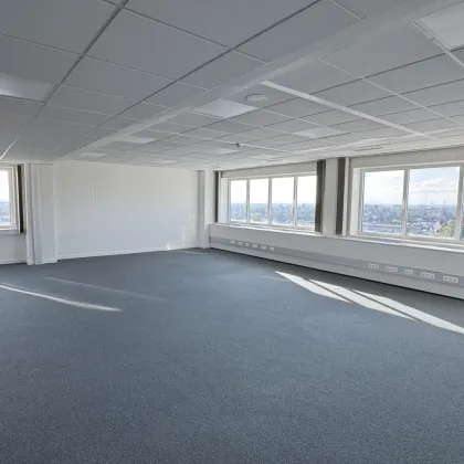 Büros ab 270 m² in Wiener Neudorf - Einführungsrabatt für erste Mieter - Bild 2