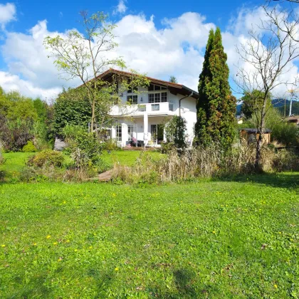 ADNET | SOLO AM GRÜNLAND - Bild 2