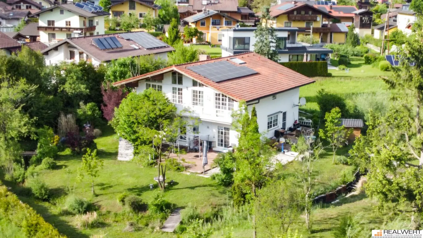 ADNET | SOLO AM GRÜNLAND - Bild 1