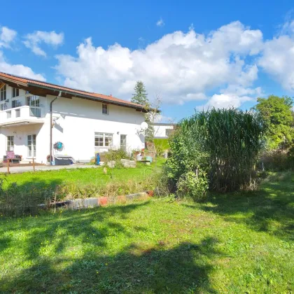 ADNET | SOLO AM GRÜNLAND - Bild 3