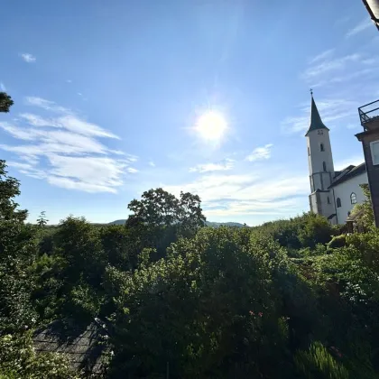 Privatverkauf: geschichtsträchtiges Haus im Martinsviertel Klosterneuburg - 1.711 m² Grundstück (1.119 m² Baugrund) mit Panorama-Fernblick - bis zu 6 Einheiten möglich - Bild 3