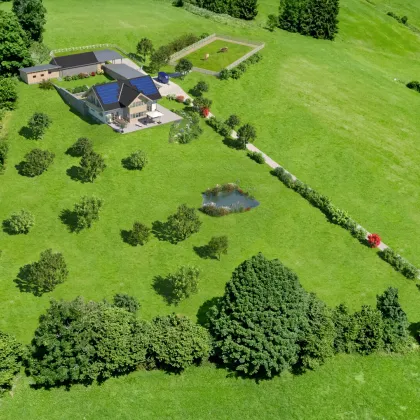 Pferdehof Projekt im Ausseerland - Bild 2