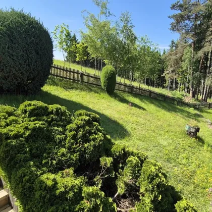 An neue Eigentümer übergeben Hanglage, Herzlage und Heimkommen. Dein großes Glück für die kleine Brieftasche in Herzogsdorf - Bild 3