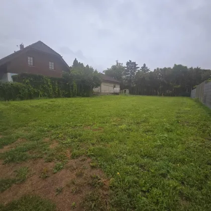 Baugrundstück in bester Lage in Groß-Enzersdorf - Ideal für Bauträger oder zum Bau Ihres Eigenheims! - Bild 2