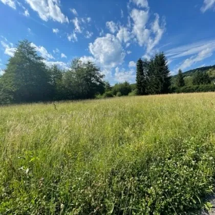 Schöne landwirtschaftliche Flächen mit 3.208m² - Nähe Hafnersee - Kein Baugrund! - Bild 3
