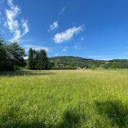 Schöne landwirtschaftliche Flächen mit 3.208m² - Nähe Hafnersee - Kein Baugrund! - Bild 2