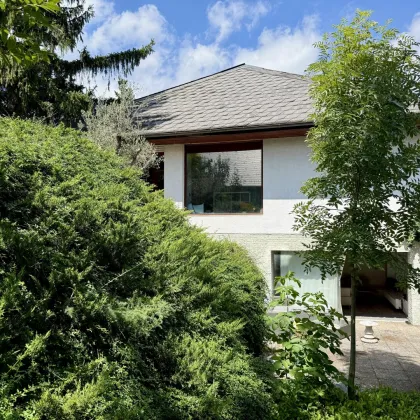 Einfamilienhaus mit Garten, Terrasse, Wohnkeller mit Wellnessoase  – Grüne Oase an der Stadtgrenze zu Baden in Tribuswinkel - Bild 2