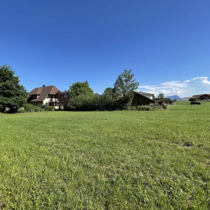 Traumhaftes Grundstück in Zell am Moos – 1120m² für Ihr Bauprojekt! - Bild 3