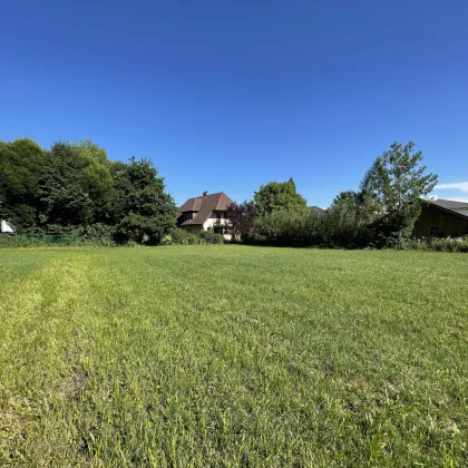 Traumhaftes Grundstück in Zell am Moos – 1120m² für Ihr Bauprojekt! - Bild 2