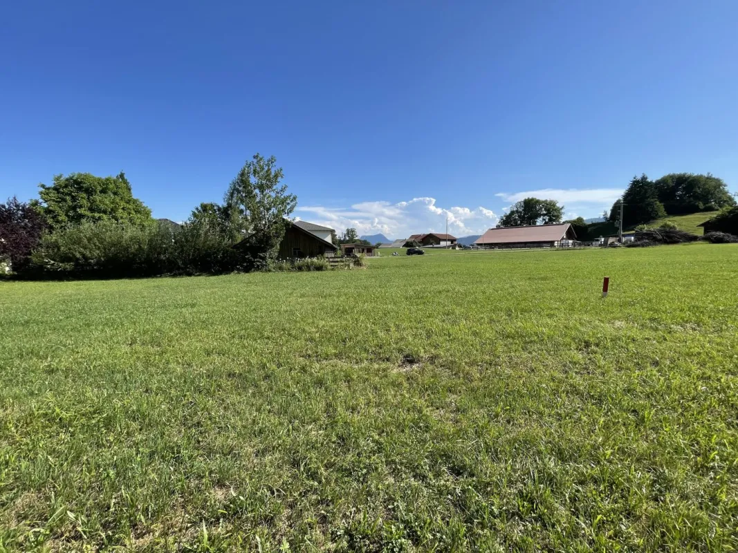 Traumhaftes Grundstück in Zell am Moos – 1120m² für Ihr Bauprojekt! - Bild 1