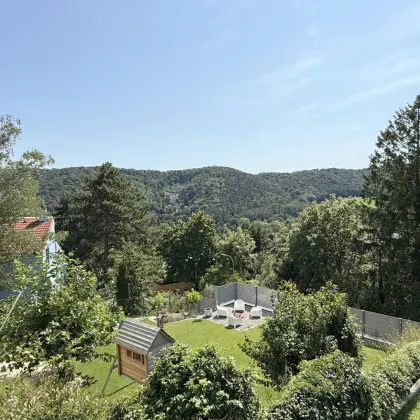 Ölberg hoch im Kurs! - Bild 3