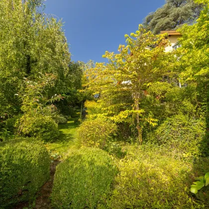 Stadt trifft Land: Exklusive Villa mit Gartenidylle und Schwimmbiotop in Ruhelage - Bild 3