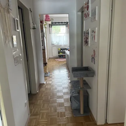 Modernes Wohnen mit Loggia, Terrasse PPL und Tiefgaranstellplatz in Luftenberg - 70,45² für 780,97 €/Monat! - Bild 3