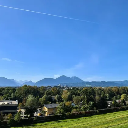 Kapitalanlage Bergheim - gut vermietete 2 Zimmer Erstbezugs-Wohnung in Panoramalage! - Bild 3