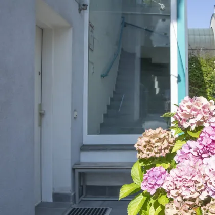 Charmante Maisonette mit Terrasse in Grünruhelage am Rosenhügel - Bild 2