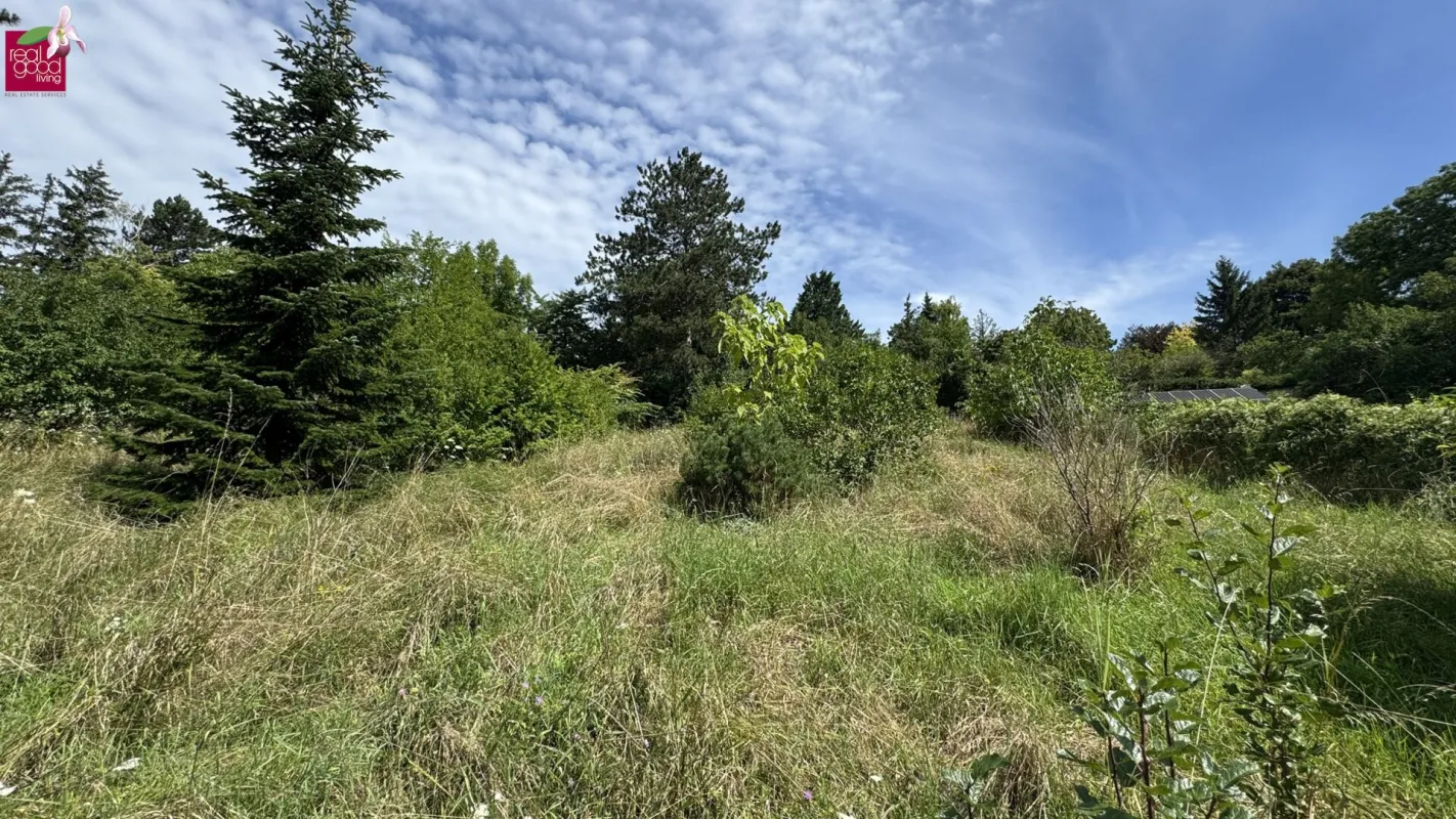 Seltenes Bauträgergrundstück mit Bestandshaus – 4.356 m², 4–5 Bauparzellen möglich, Klosterneuburg - Bild 1