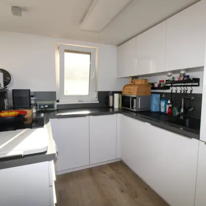 Pärchen oder kleine Familie gesucht! Modernes Kleingartenhaus! - Bild 3