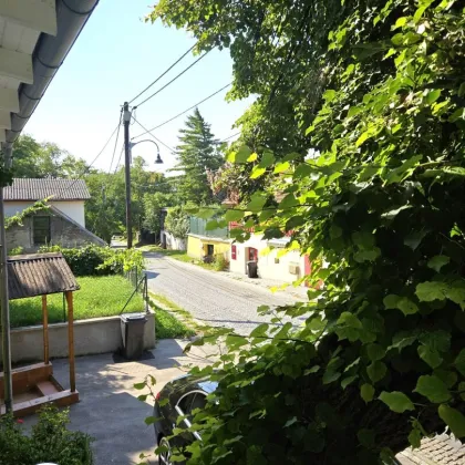 Exklusives Einfamilienhaus mit beheizbarem Weinkeller – Wohnen mit Stil und Komfort - Bild 2