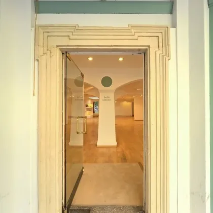 223m²-Geschäftslokal in Frequenzlage - St. Pöltener Innenstadt - Bild 3