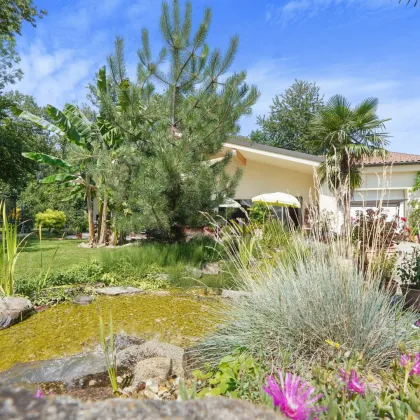 *Gartenidylle in absoluter Ruhelage* Traumhaftes Bungalow in Alleinlage - Bild 2