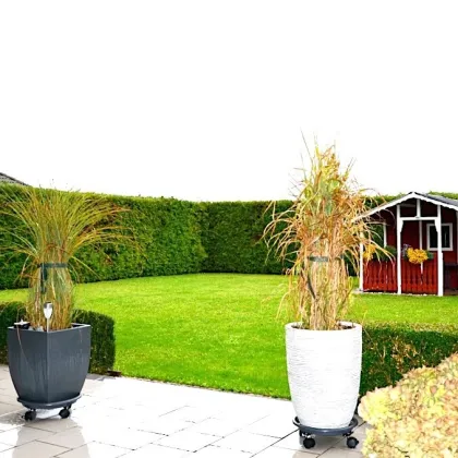 Wohnen auf 1000 m² barrierefreier Fläche, Bungalow in Trumau mit uneinsehbarem Garten - Bild 3