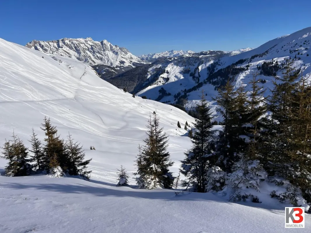 K3 - Herrlicher Ausblick garantiert! GANZJAHRESBETRIEB inklusive BETREIBERWOHNUNG im paradisisch schönen Hochkönig-Gebiet! - Bild 1