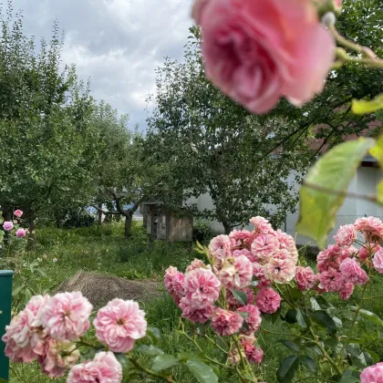 2 Häuser mit Nebengebäuden und Garten - Bild 2