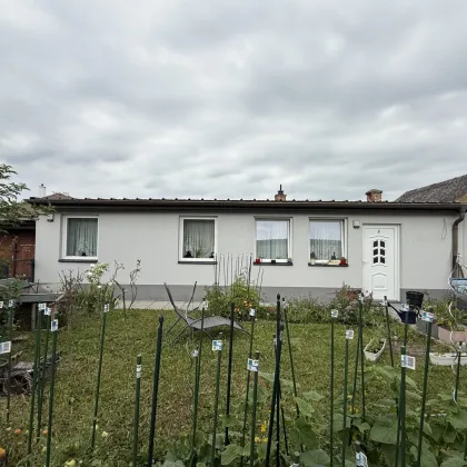 Neudörfl sehr liebes kleines Zinshaus mit 4 Wohneinheiten-1249 - Bild 2