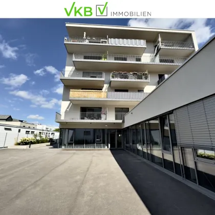 WELS: Ihr zukünftiges Business im begehrten VKB Park Mercurius! - Bild 2