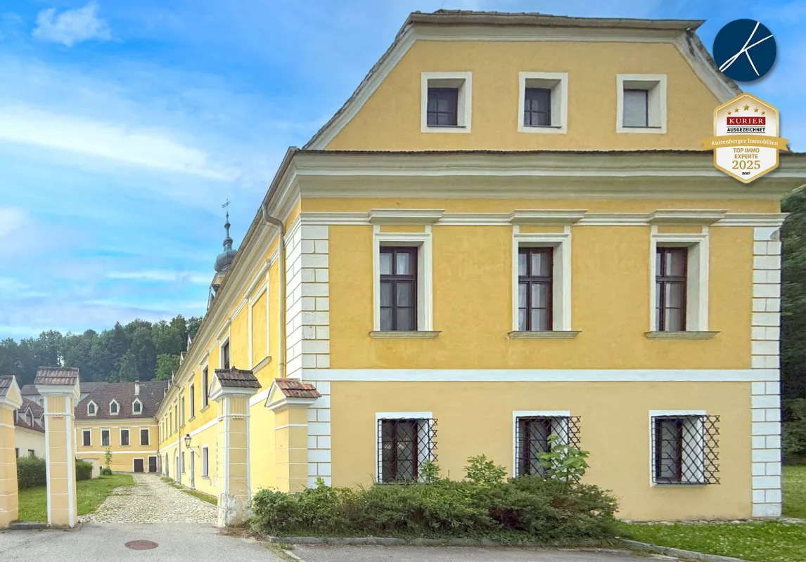 Historisches Zinshaus in zentraler Lage | 66% leer/befristet & hohes Rendite-Potenzial - Bild 1