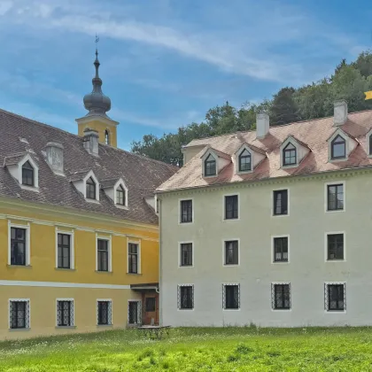 Historisches Zinshaus in zentraler Lage | 66% leer/befristet & hohes Rendite-Potenzial - Bild 2
