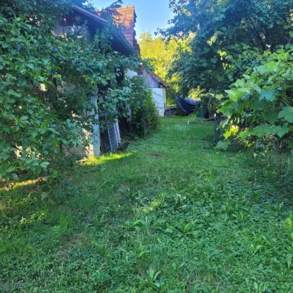 Ruhige gelegenes Bauernsacherl  mit schönen Hof und Gartenflächen nähe Güssing! - Bild 3