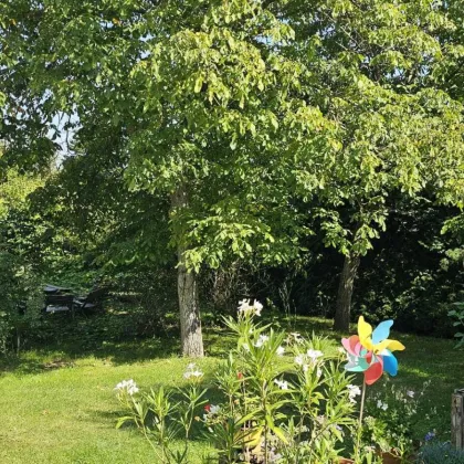 Ruhige gelegenes Bauernsacherl  mit schönen Hof und Gartenflächen nähe Güssing! - Bild 2