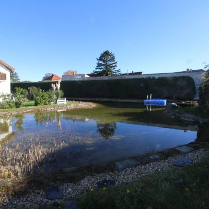 Doppelhaushälfte mit Badeteich, Sonne und Ruhe!! - Bild 2