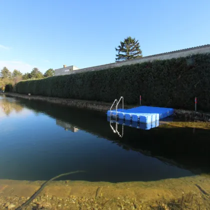 Doppelhaushälfte mit Badeteich, Sonne und Ruhe!! - Bild 3