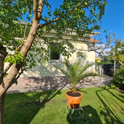 Einfamilienhaus in Wampersdorf, Bezirk Baden! - Bild 3