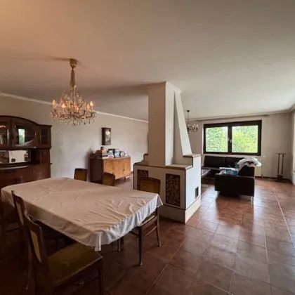 Engelhartstetten - Gediegenes Einfamilienhaus mit großem sonnigen Garten - Bild 3