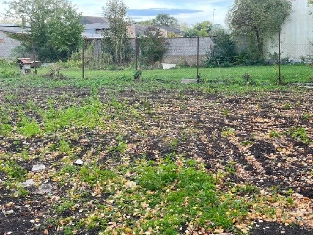 Gols: 2 nebeneinander befindliche Baugrundstücke in ruhiger, eingesessener Wohngegend / Bauland Mischgebiet - Bild 1