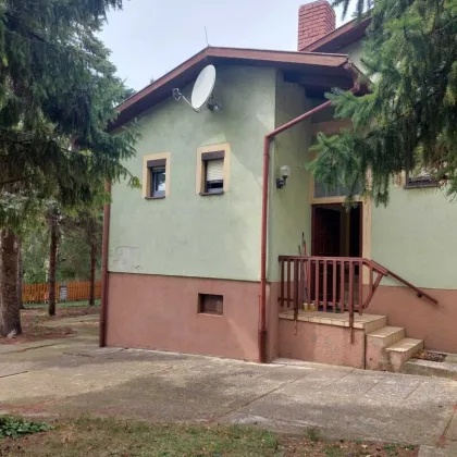 Weiden am See: Wohnhaus in zentraler Lage mit großem Garten - Bild 2