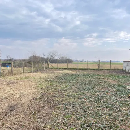 Bungalow mit großem Grund in Ruhelage - Bild 3