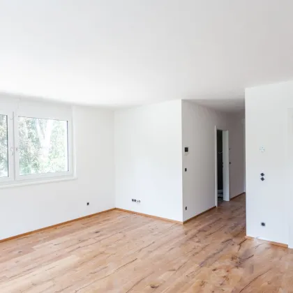 Modernes Wohnen in Steina - 3-Zimmer-Wohnung - Bild 2