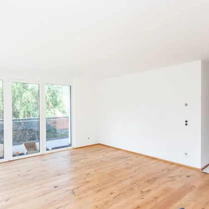 Modernes Wohnen in Steina - 3-Zimmer-Wohnung - Bild 2