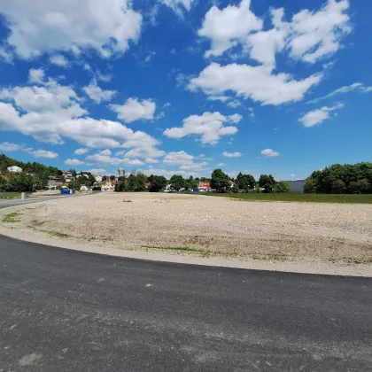 Gewerbegrundstücke in bester Lage an der B18 in St.Veit/Triesting - Bild 2