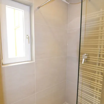 Sanierte 109m² DG-Wohnung mit Galerie Nahe Lainzer Tiergarten - 1130 Wien - Bild 3