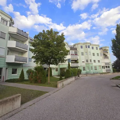 + Traumhafte Fernblickdachterrassenwohnung 80m² +  Dachterrasse 5,62 m² + Klimaanlage, moderne Dan-Küche + 4 lichtdurchflutete Zimmer +  €199.000,-  + Tiefgaragenplatz + - Bild 2